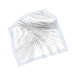 Autonomie : Incontinence