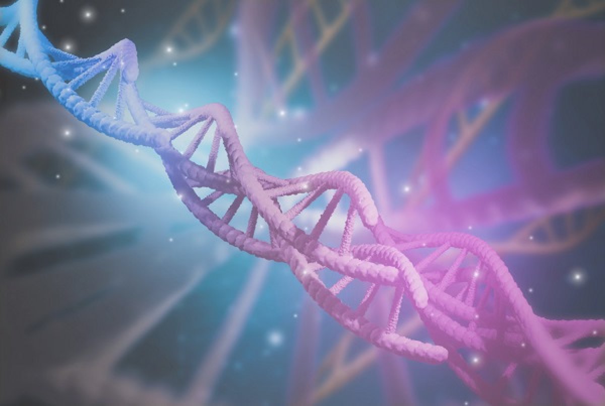 Genomic Vision étend son portefeuille de brevets  avec le Code Morse génomique