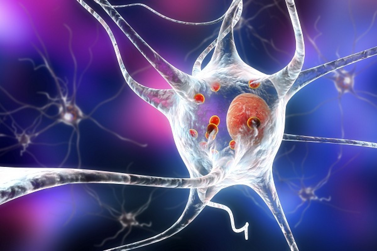Nouveaux agents thérapeutiques contre la cible LRRK2 de la maladie de Parkinson